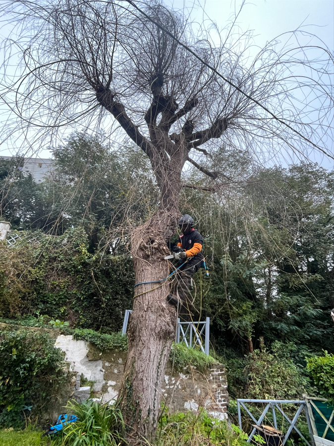 Tempête en Normandie : Mabire Paysages mobilisé pour des interventions d’urgence au Havre, Fécamp, Etretat et les alentours