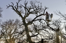 Notre zone d'activité pour ce service Création et aménagement paysager pour votre jardin sur Fécamp 76400 en Seine-Maritime