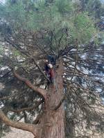 Nos prestations sur le secteur de Fécamp 76400 en Seine-Maritime