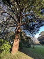 Nos prestations sur le secteur de Fécamp 76400 en Seine-Maritime